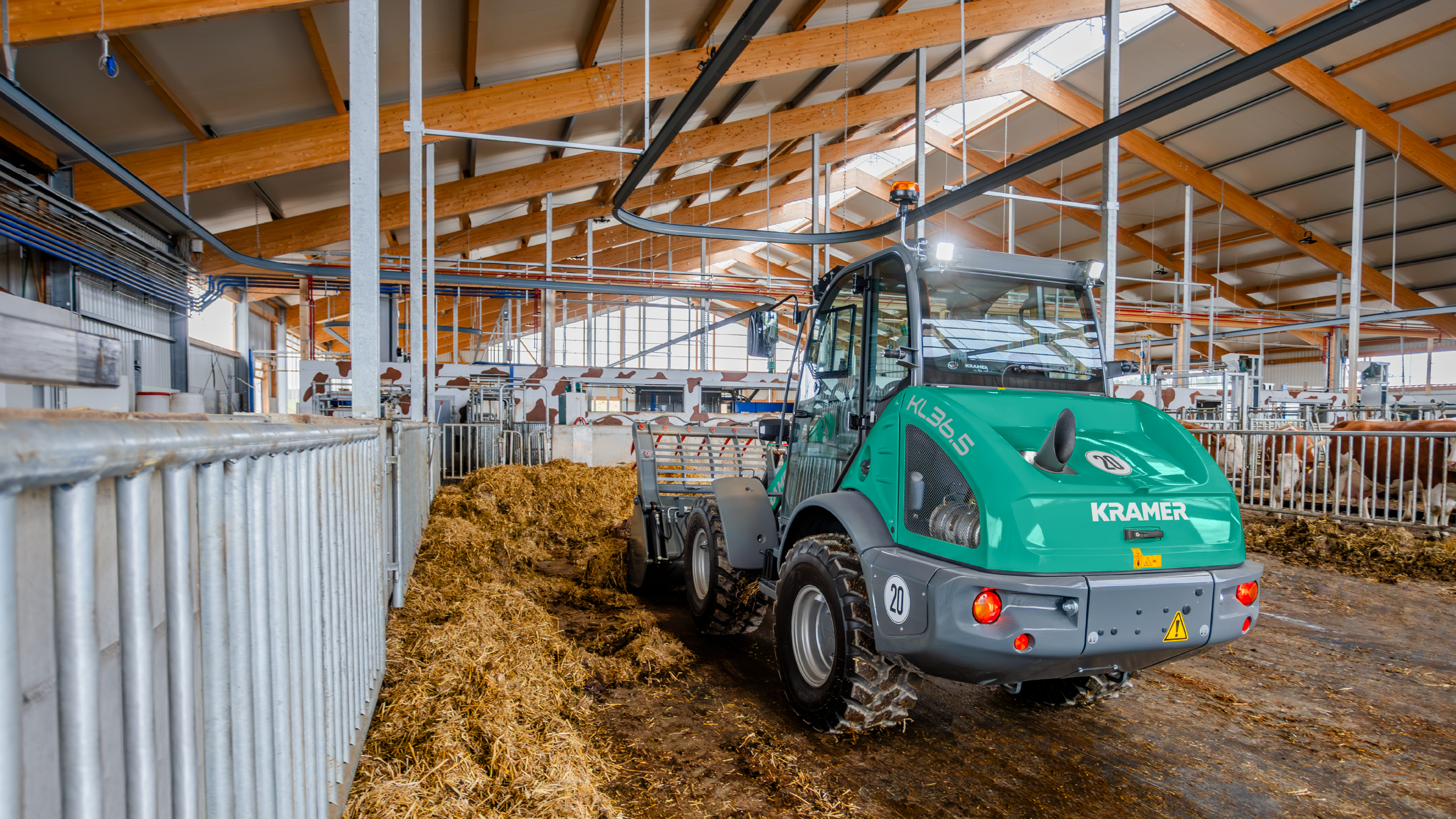 KL36.5 beim Ausmisten im Stall