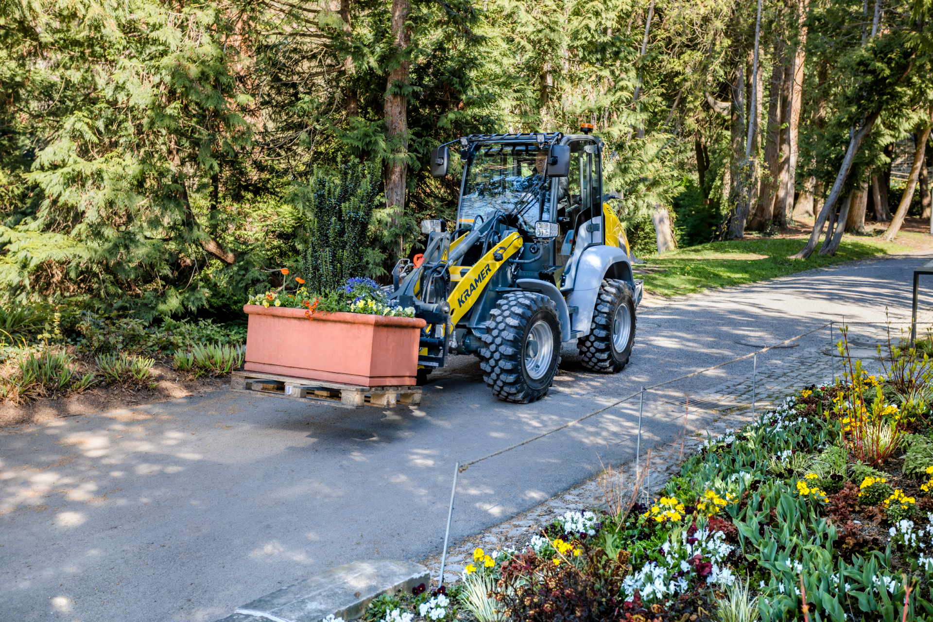 The fully electric Kramer wheel loader 5065e while transporting a plant.